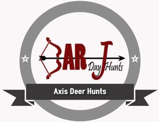 Axis Deer