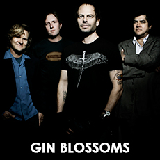 Gin Blossoms